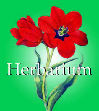 Herbarium