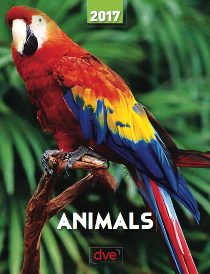 Rights Catalogue